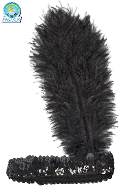 PIUMA CHARLESTON PAILLETTES NERO